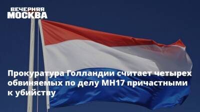 Тейс Бергер - Прокуратура Голландии считает четырех обвиняемых по делу MH17 причастными к убийству - vm.ru - Украина - Голландия