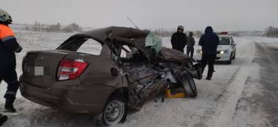 В Башкирии 40-летний водитель Lada погиб в лобовом столкновении с грузовиком - ufacitynews.ru - Башкирия - Октябрьский - Камаз