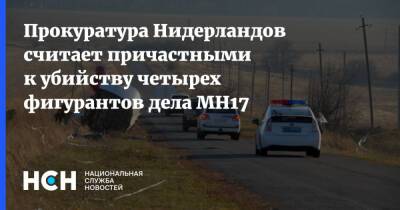 Тейс Бергер - Прокуратура Нидерландов считает причастными к убийству четырех фигурантов дела MH17 - nsn.fm - Украина - Голландия