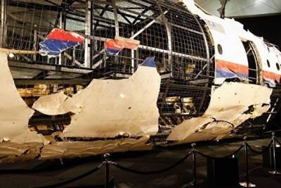 Тейс Бергер - Прокуратура Нидерландов настаивает, что «Боинг» MH17 был сбит с территории ополченцев ДНР - znak.com - Украина - ДНР - Голландия - Донецкая обл.