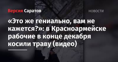 «Это же гениально, вам не кажется?»: в Красноармейске рабочие в конце декабря косили траву (видео) - nversia.ru - Россия - Саратовская обл. - Саратов - Красноармейск
