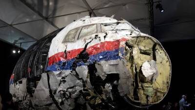 Александр Шульгин - Тейс Бергер - В Нидерландах рассказали о причинах добавления в дело о крушении MH17 показаний России - russian.rt.com - Россия - Украина - Голландия