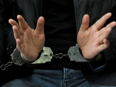 Михаил Саакашвили - В Германии задержан экс-начальник Генштаба ВС Грузии, обучавший украинских военных - rosbalt.ru - Украина - Грузия - Германия - Берлин