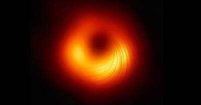Вселенная - Похожа на ДНК. Ученые раскрыли секрет сверхмассивной черной дыры в далекой галактике (видео) - focus.ua - Украина