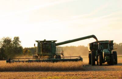 Итоги сезона: Cygnet обновила несколько рекордов урожайности - agroportal.ua - Украина - Винницкая обл. - Житомирская обл.