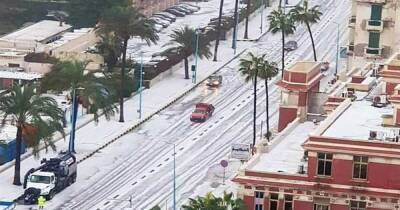 Снег выпал в египетской Александрии - ren.tv - Египет - Каир - г. Александрия