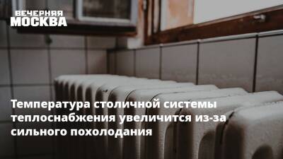 Роман Вильфанд - Мороз - Температура столичной системы теплоснабжения увеличится из-за сильного похолодания - vm.ru - Москва - Россия - Москва