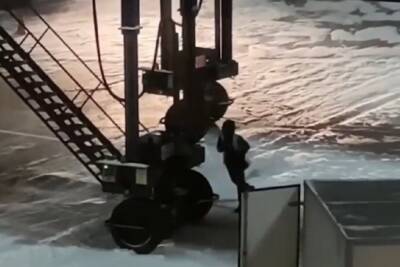 Во Внуково объяснили видео с разгрузкой багажа - mk.ru
