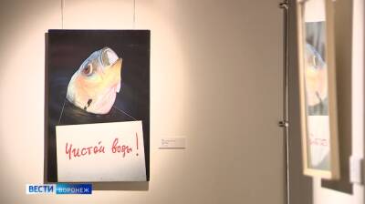 В воронежском музее имени Крамского открылась выставка Fish-art с полотнами 17-20 веков - vestivrn.ru - Россия - Воронеж