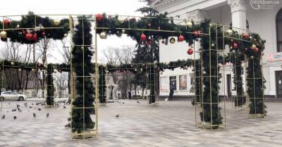 Рухнувшую мариупольскую елку увезли на экспертизу, почему упала - не знают - kp.ua - Украина - Мариуполь