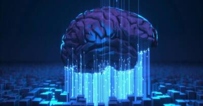 Илон Маск - Илон Маск создал искусственный интеллект, который умеет "имитировать" мозг - focus.ua - Украина