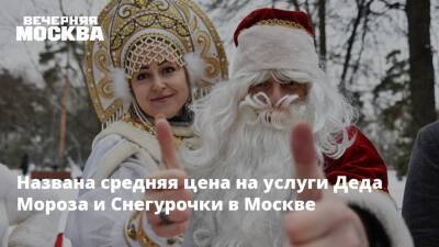Дед Мороз - Названа средняя цена на услуги Деда Мороза и Снегурочки в Москве - vm.ru - Москва