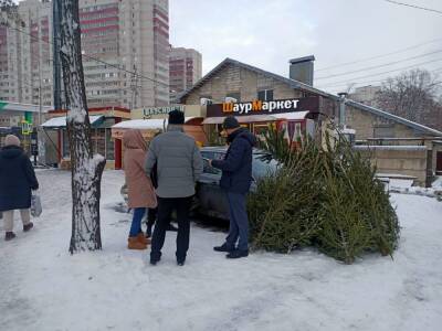В Воронеже начались рейды по незаконной торговле ёлками - gorcom36.ru - Россия - Воронеж - Воронежская обл. - район Коминтерновский, Воронеж