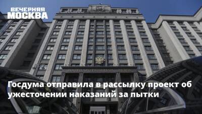 Павел Крашенинников - Госдума отправила в рассылку проект об ужесточении наказаний за пытки - vm.ru - Россия