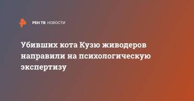 Убивших кота Кузю живодеров направили на психологическую экспертизу - ren.tv - Северодвинск