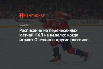 Бэй Лайтнинг - Расписание не перенесённых матчей НХЛ на неделю: когда играют Овечкин и другие россияне - championat.com - Вашингтон - шт. Миннесота - шт.Нью-Джерси - шт. Аризона