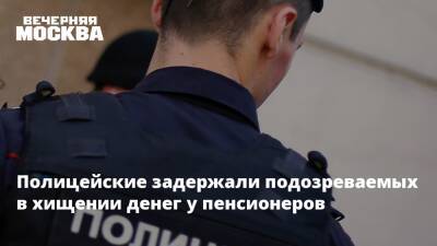 Ирина Волк - Полицейские задержали подозреваемых в хищении денег у пенсионеров - vm.ru - Россия
