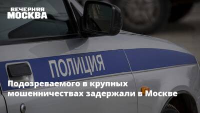 Подозреваемого в крупных мошенничествах задержали в Москве - vm.ru - Москва