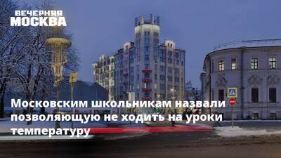 Московским школьникам назвали позволяющую не ходить на уроки температуру - vm.ru - Москва - Москва