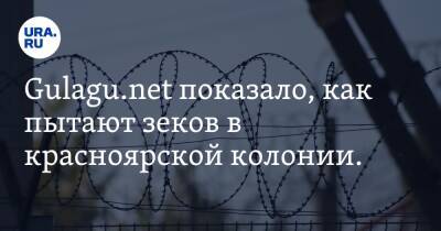 Владимир Осечкин - Gulagu.net показало, как пытают зеков в красноярской колонии. Видео - ura.news - Красноярск - Скончался