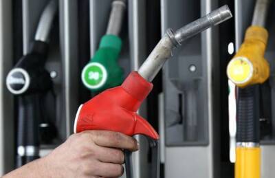 Shell - Какие украинские АЗС снизили цену топлива - goodnews.ua - Украина