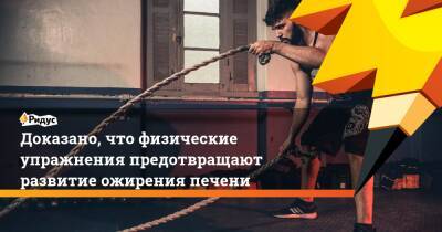 Доказано, что физические упражнения предотвращают развитие ожирения печени - ridus.ru - Германия