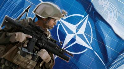 Яков Кедми - Кедми: Киев игнорирует прописанный в Конституции Украины запрет на вступление в НАТО - inforeactor.ru - Украина - Киев