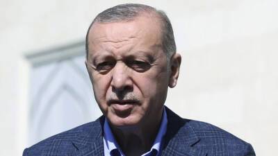 Тайип Реджеп Эрдоган - Эрдоган рассказал о борьбе правительства Турции с волатильностью лиры - russian.rt.com - Турция