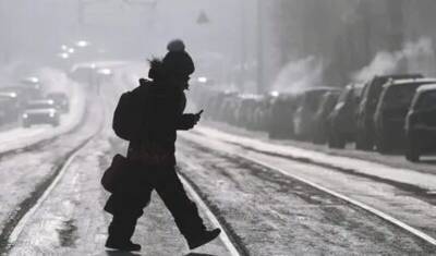 Евгений Тишковец - Московским школьникам позволили не посещать занятия при температуре ниже -25 градусов - newizv.ru