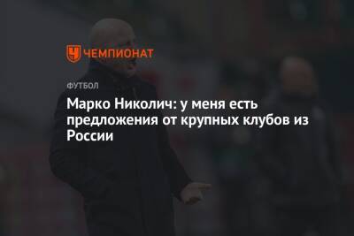 Марко Николич - Марко Николич: у меня есть предложения от крупных клубов из России - championat.com - Москва - Россия - Сербия