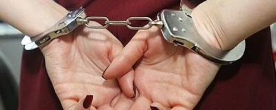 Ректор СГЭУ Светлана Ашмарина задержана в Самаре по делу о покушении на мошенничество - runews24.ru - Самара