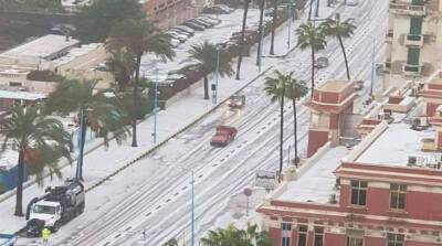 В египетской Александрии выпал снег - belta.by - Египет - Белоруссия - Минск - Каир - г. Александрия