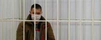 Суд в Новосибирске рассматривает дело в отношении мужчины, который сбил сибирячку с ребёнком в коляске - runews24.ru - Новосибирск