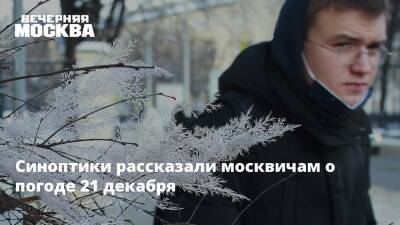 Роман Вильфанд - Мороз - Синоптики рассказали москвичам о погоде 21 декабря - vm.ru - Москва - Московская обл.