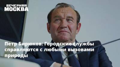 Петр Бирюков - Петр Бирюков: Городские службы справляются с любыми вызовами природы - vm.ru - Москва - Москва - Благоустройство