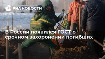 В МЧС создали ГОСТ по срочному захоронению тел в братских могилах в военное и мирное время - ria.ru - Москва - Россия