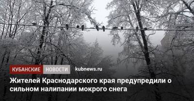 Жителей Краснодарского края предупредили о сильном налипании мокрого снега - kubnews.ru - Сочи - Краснодарский край