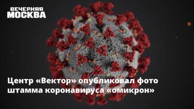 Центр «Вектор» опубликовал фото штамма коронавируса «омикрон» - vm.ru - Англия - Гонконг - Юар - Ботсвана
