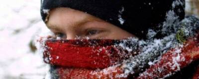 Андрей Тяжельников - Морозы опасны для людей с хроническими заболеваниями органов дыхания - runews24.ru - Москва
