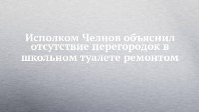 Исполком Челнов объяснил отсутствие перегородок в школьном туалете ремонтом - chelny-izvest.ru - Набережные Челны