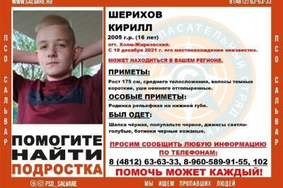 В Смоленской области пропал 16-летний подросток - mk-smolensk.ru - Смоленская обл.