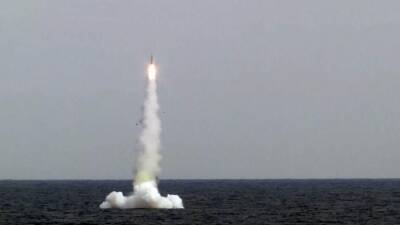 Подлодка «Петропавловск-Камчатский» провела успешный пуск ракеты «Калибр» - iz.ru - Израиль - Петропавловск-Камчатский
