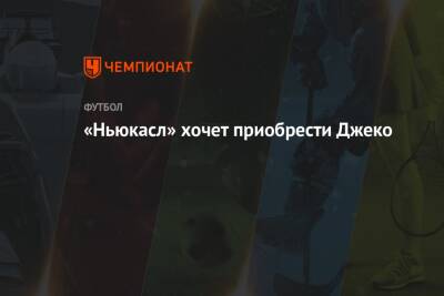 «Ньюкасл» хочет приобрести Джеко - championat.com - Италия