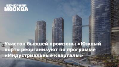 Владимир Ефимов - Участок бывшей промзоны «Южный порт» реорганизуют по программе «Индустриальные кварталы» - vm.ru - Москва - Москва - Строительство