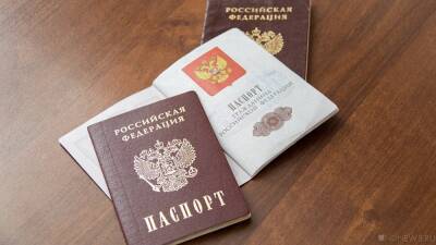Максут Шадаев - Минцифры заявило о снятии всех разногласий по введению цифровых паспортов - newdaynews.ru - Россия