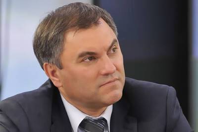 Вячеслав Володин - COVID-19 и бедность: Володин заявил об основных вызовах в 2022 году - mk.ru - Россия