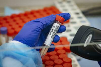 «Кан»: более трети новых ковид-больных в Израиле инфицированы штаммом «омикрон» - news.israelinfo.co.il - Израиль