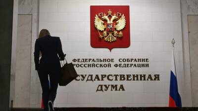 Светлана Бессараб - В Госдуме прокомментировали законопроект о ежемесячных выплатах для семей с детьми - russian.rt.com