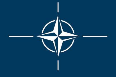 Странам НАТО не удалось достигнуть консенсуса по переговорам с Россией - mk.ru - Москва - Россия