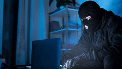 В ОНФ предупредили о новом виде интернет-мошенничества перед Новым годом - 5-tv.ru - Россия